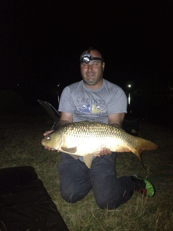 pestisori de aur - img-20130810-wa0003.jpg